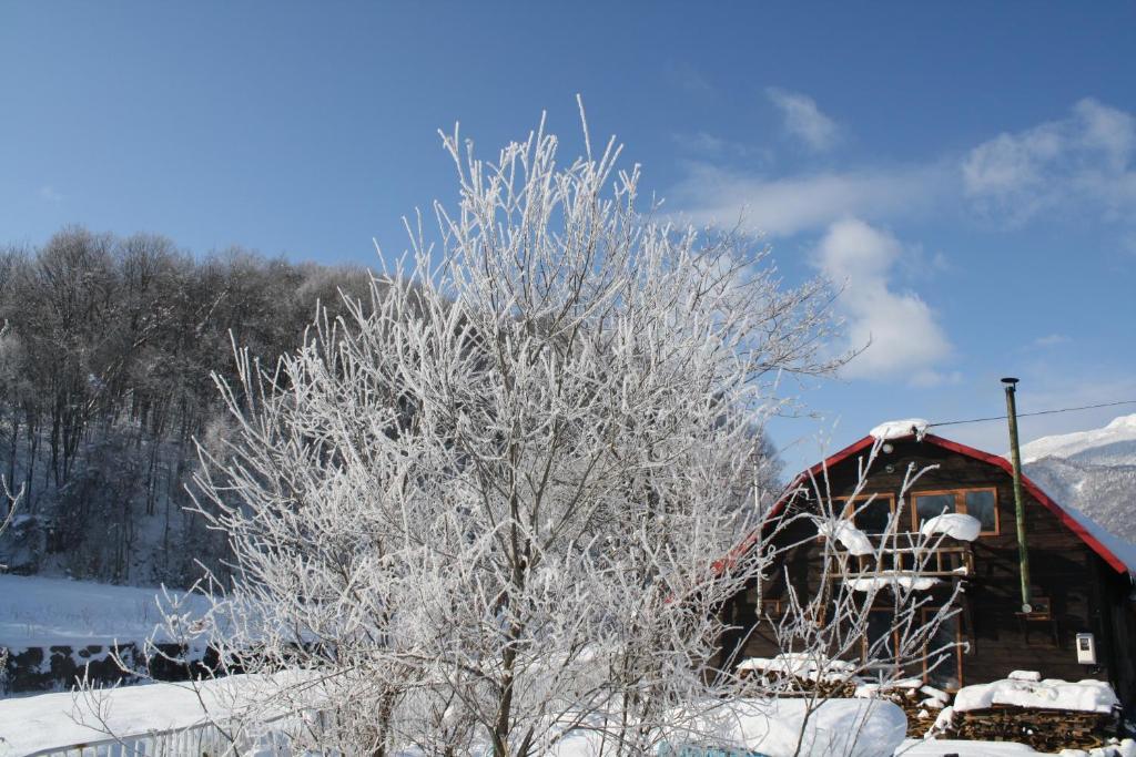 Goryo Guesthouse Furano Exterior photo